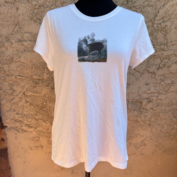 NWOT Peruvian Connection Ivory Knit Top - Picture 1 of 8